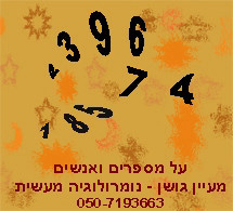 מה זה שנה אישית בראי הנומרולוגיה?