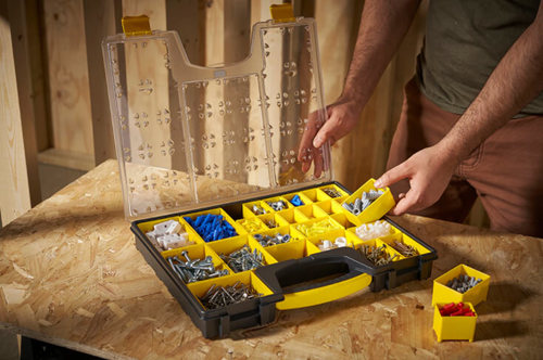 ארגונית מקצועית