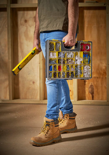 ארגונית מקצועית