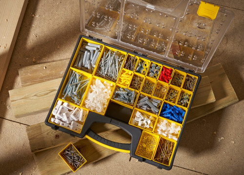 ארגונית מקצועית