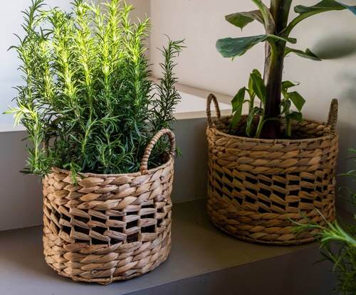  סל קש יקינטון גדול  fiber basket