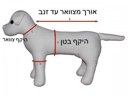 טבלת מידות