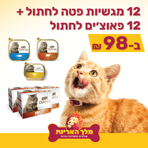 מבצע! 12 מגשיות פטה 