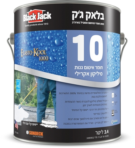 בלאק ג'ק 10 - חומר איטום גגות מסיליקון אקרילי