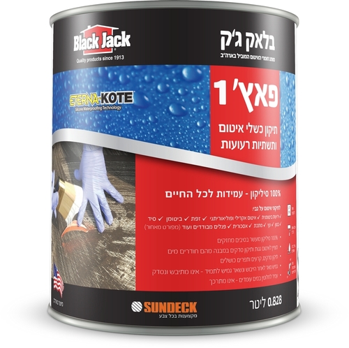 בלאק ג'ק פאץ' 1 - תיקון כשלי איטום ותשתיות רעועות