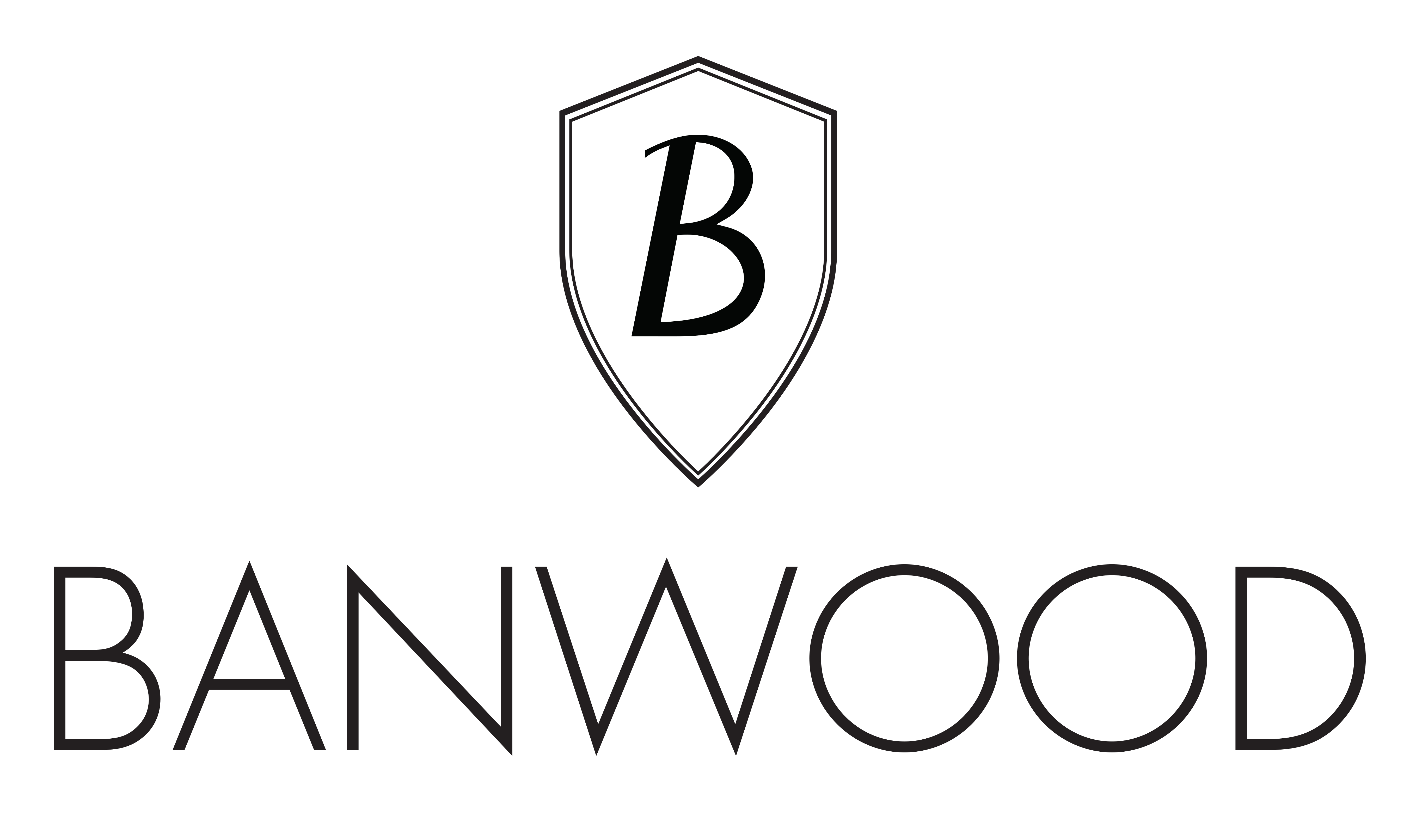 לוגו המותג Banwood