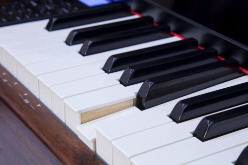 פסנתר חשמלי מרהיב F-53 מסדרת MUSICIAN עם קלידים מעץ בצבע שחור מבית Pearl River