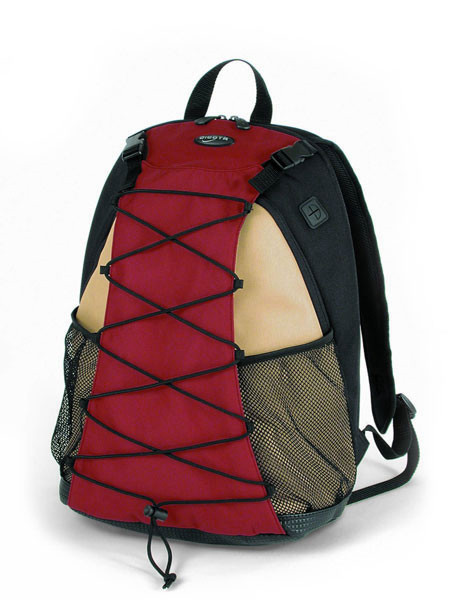Dicota  BagPack N7198P