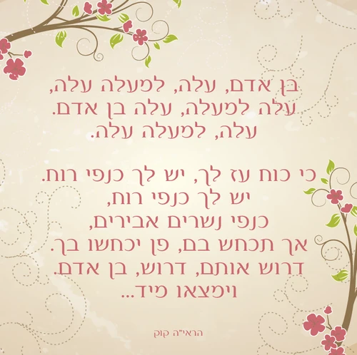 50 מגנטים מעוצבים