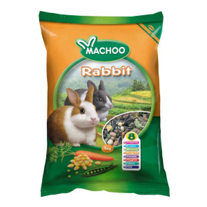 מזון מאצ