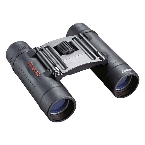 משקפת מיקצועית