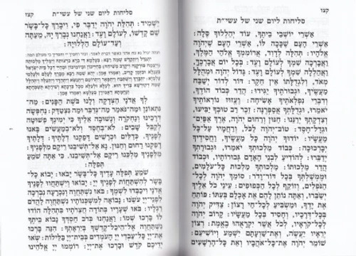 סדר הסליחות השלם כמנהג פולין (L)
