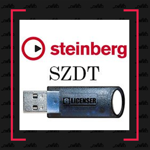 STEINBERG | ZERO DOWN TIME פתרון מיידי למפתח רישיון תקול