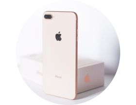 74919904bd0c49a929109c2e3bacfbf5
