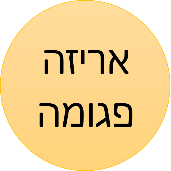 אריזה פגומה