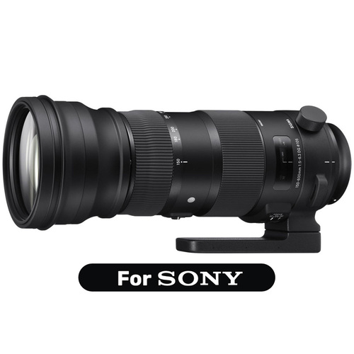 עדשת טלפוטו Sigma 150-600 Sport למצלמות Sony