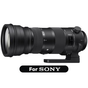Sigma 150-600mm F5-6.3 DG DN OS Sports רשמי
