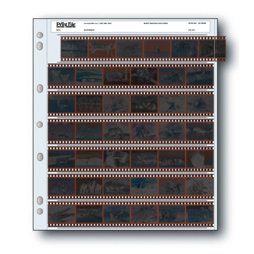 שרוולים לאחסון נגטיבים 100 יחידות Print File