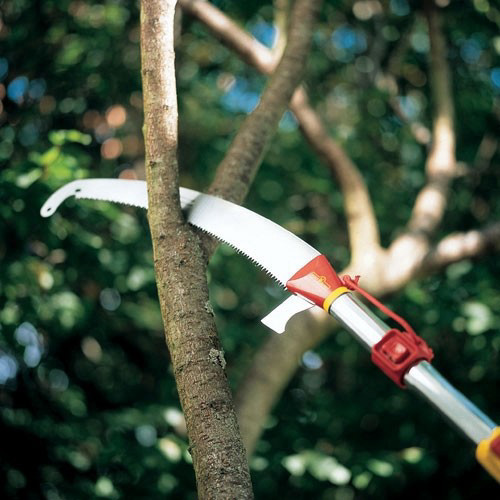 משור גבהים מקצועי