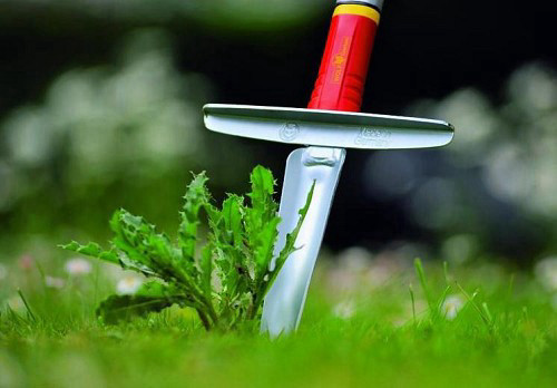 עוקר עשבים מודולארי