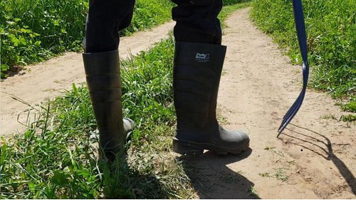 מגפי POLLY BOOT GALAXY