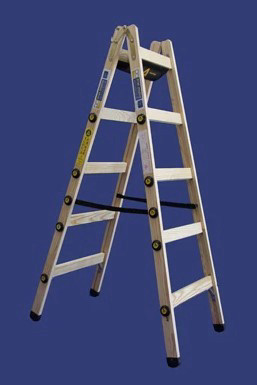 סולם עץ 6 שלבים 1.9 מטר רב מקצועי