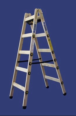סולם עץ 5 שלבים 1.60 מטר רב מקצועי