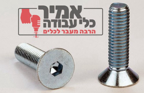 בורג אלן ראש שטוח מילימטרי נירוסטה 316
