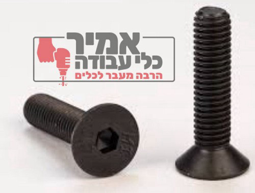 בורג אלן עם ראש שטוח NF