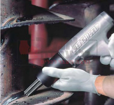 אקדח לניקוי שלקות Nitto