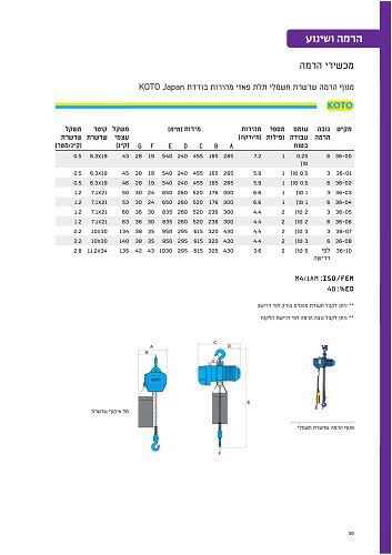 מנוף הרמה שרשרת חשמלי תלת פאזי מהירות בודדת 0.50 טון גובה 6 מטר