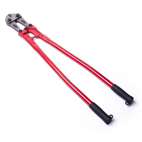 תוכי חותך ברזל 