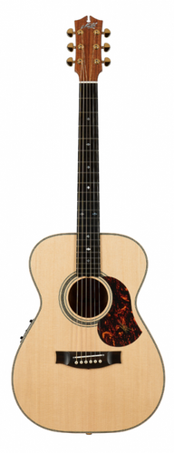 זוית נוספת Maton EBG808 ARTIST