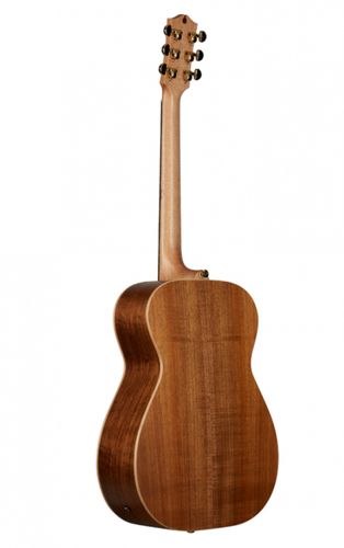 זוית נוספת Maton EBG808 ARTIST