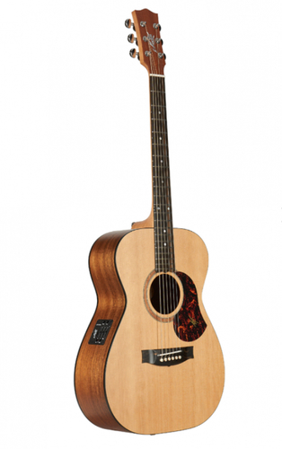 זוית נוספת Maton SRS808
