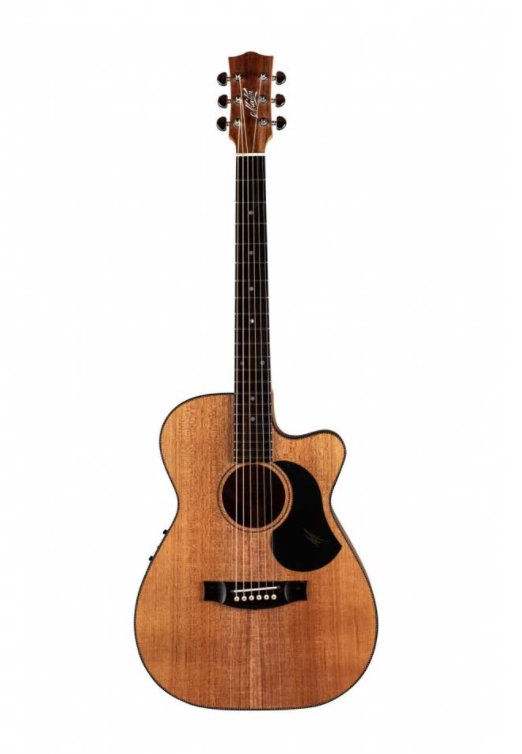 גיטרה אקוסטית מוגברת Maton EBW808C