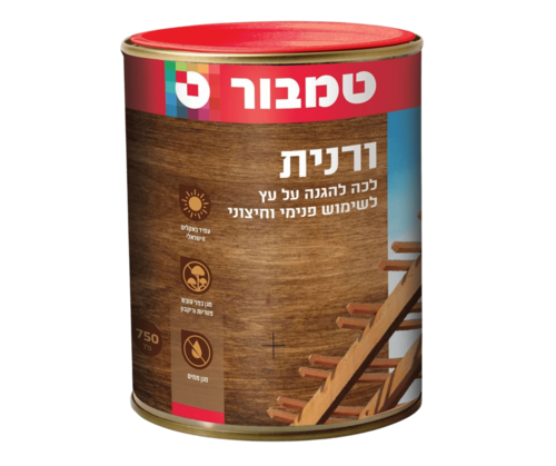 תמונה