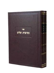 נתיבות שלום / האדמו"ר מסלונים-על המועדים I נתיבות שלום ב