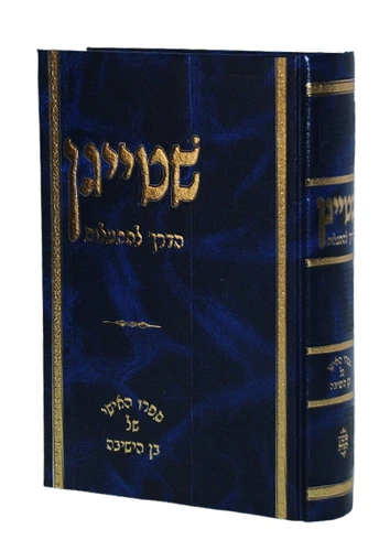 שטייגן I הדרך להתעלות