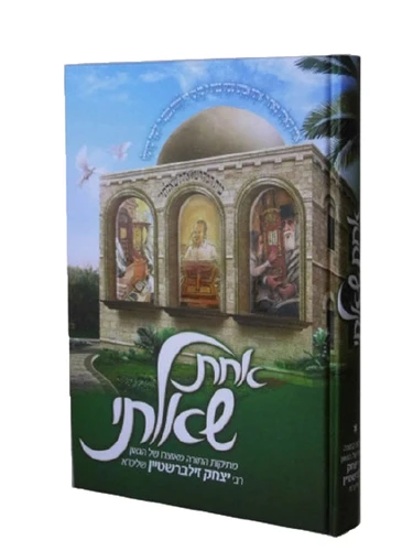 אחת שאלתי - 1 / רבי יצחק זילברשטיין שליט