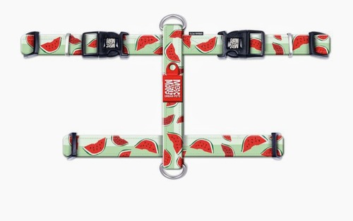 רתמה עם עיצוב ציורי אבטיח מידה XS מקס ומולי HARNESS - WATERMELON MAX & MOLL