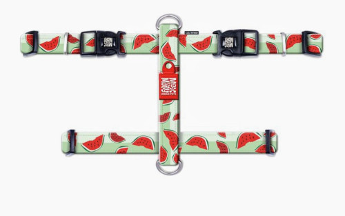 רתמה עם עיצוב ציורי אבטיח מידה S מקס ומולי HARNESS - WATERMELON MAX & MOLL
