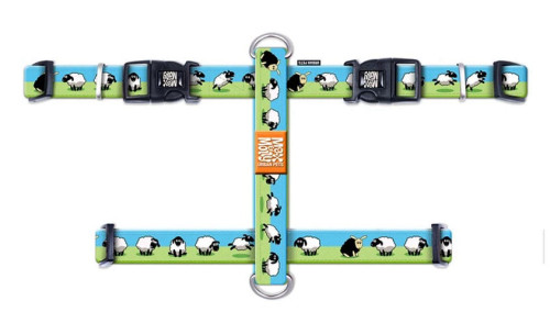 רתמה מקס ומולי מידה M בעיצוב כבשים H-HARNESS - BLACK SHEEP