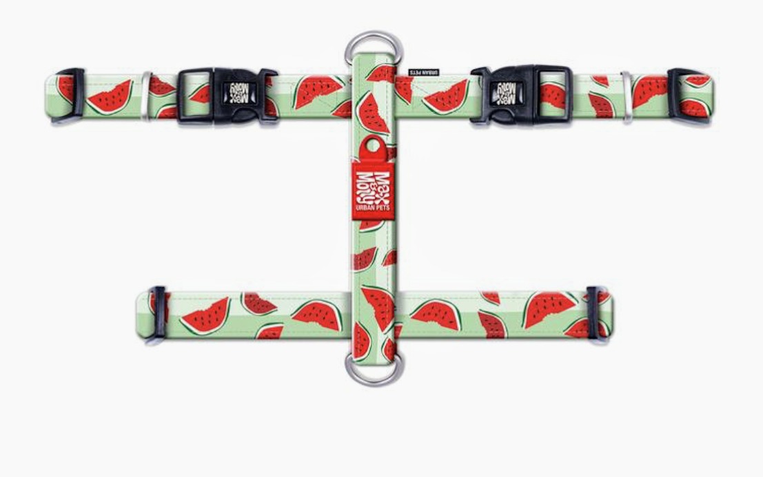 רתמה עם עיצוב ציורי אבטיח מידה L מקס ומולי HARNESS - WATERMELON MAX & MOLL