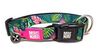  קולר טרופי מידה XS מקס ומולי COLLAR - TROPICAL Max & Molly