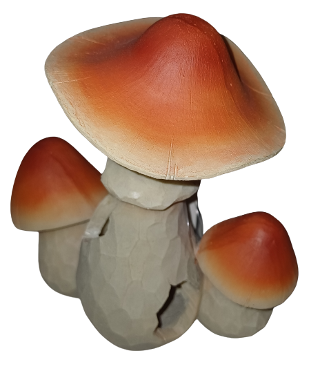 Fa1c6bca05cc502c6c9c0d0292ad16f3