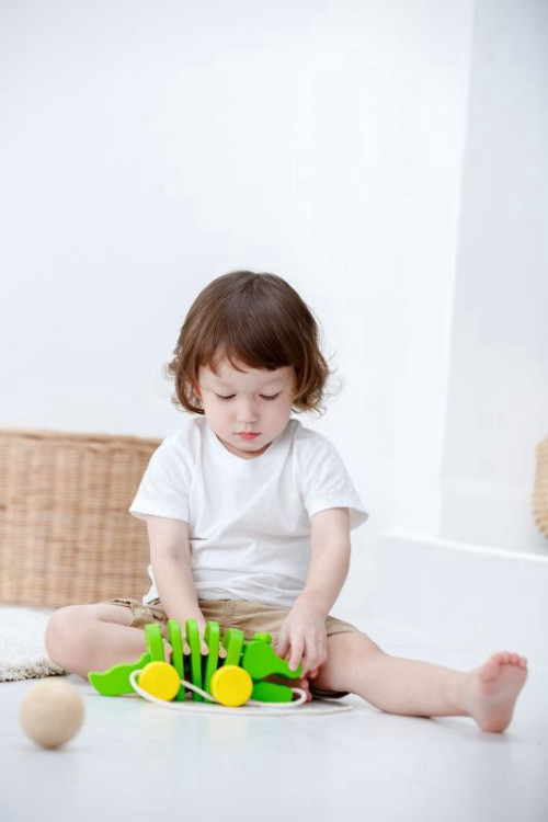 פעוט משחק בתנין נגרר מעץ של PlanToys (הדגם הקלאסי הירוק) לעידוד הליכה