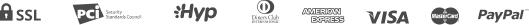 payment_icon