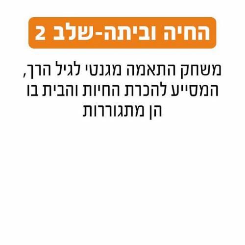 תיאור המשחק החיה וביתה שלב 2 של Geoni, לגיל שנתיים+