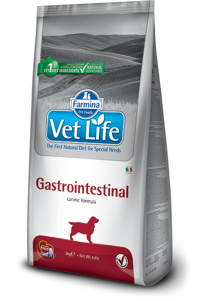 וט לייף רפואי 2 ק"ג גסטרו אינטסטינל - Vet Life
